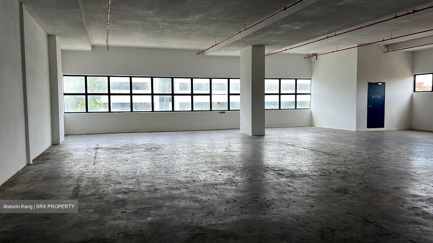 Loyang Industrial Estate (D17), Factory #439254011